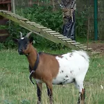 Prázdninový dům Fancornio Rural Zancornio
