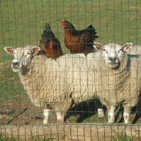 Fancornio Rural