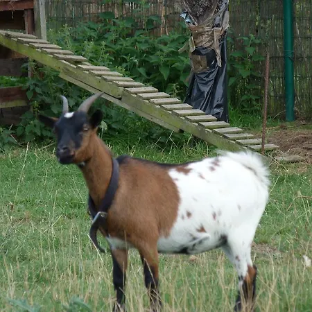Feriehus Fancornio Rural Zancornio
