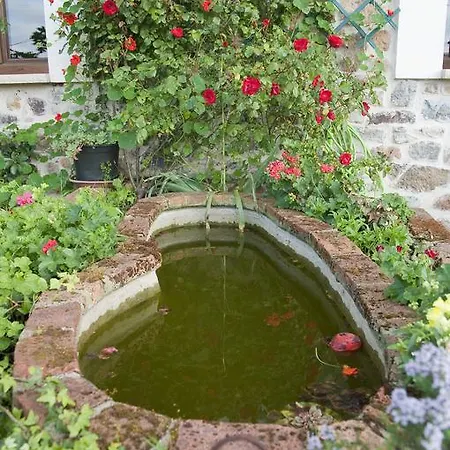 Fancornio Rural * Zancornio