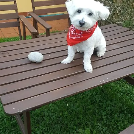 Fancornio Rural Σπίτι διακοπών